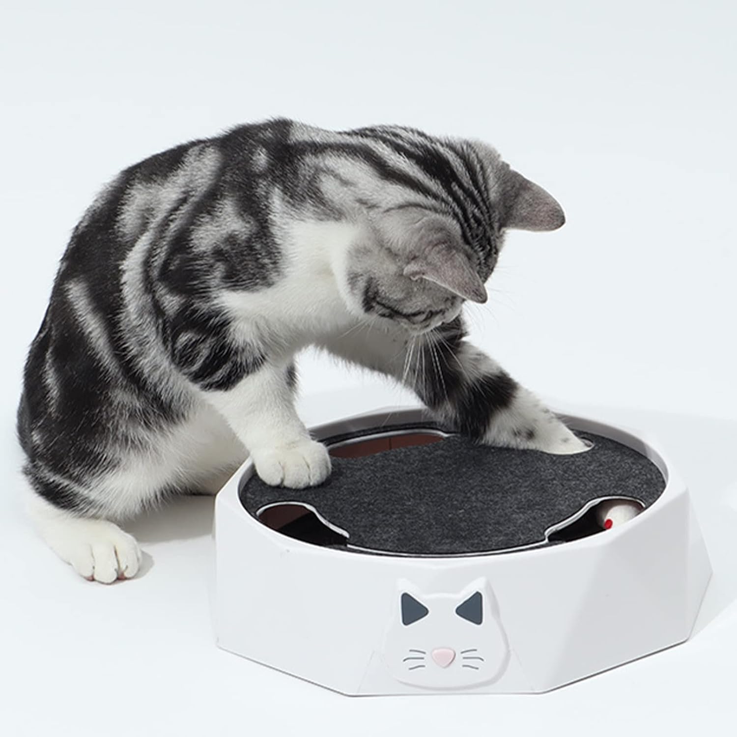 🔥Interactive Cat Turntable Toy