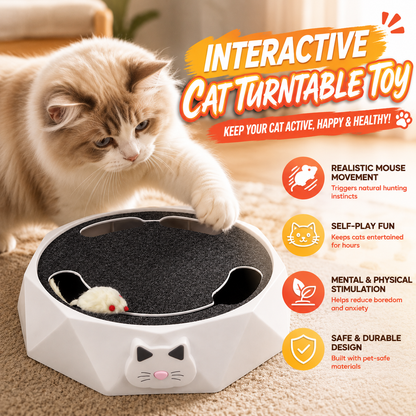 🔥Interactive Cat Turntable Toy