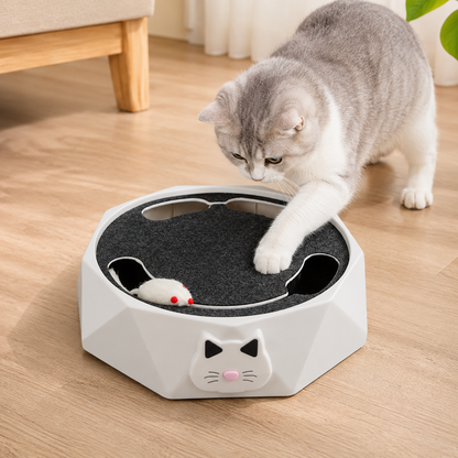 🔥Interactive Cat Turntable Toy
