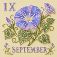 September – Morning Glory