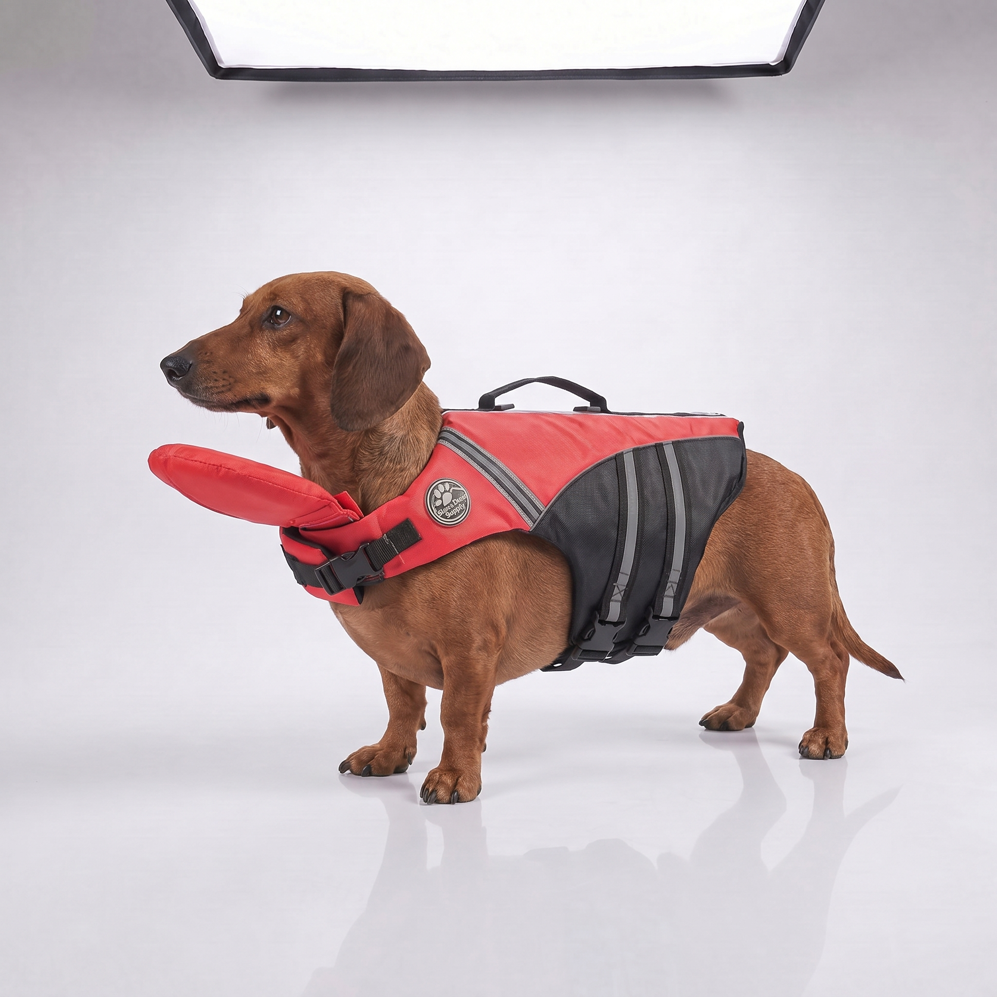 PawFloat-Dog Life Jacket With Head Rest🐶