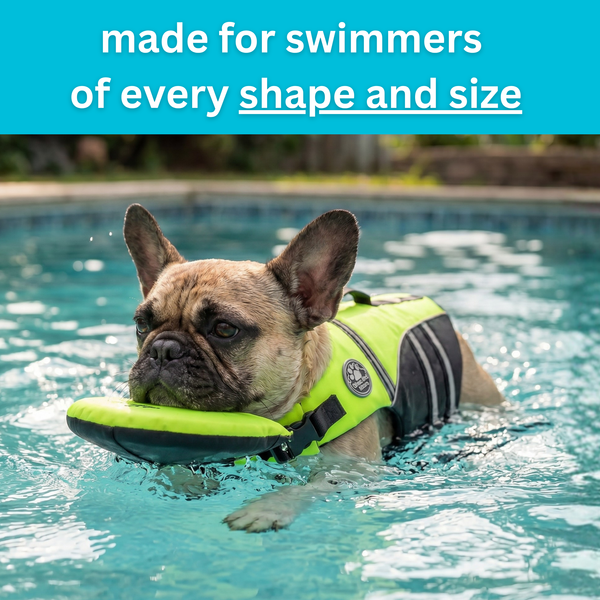 PawFloat-Dog Life Jacket With Head Rest🐶